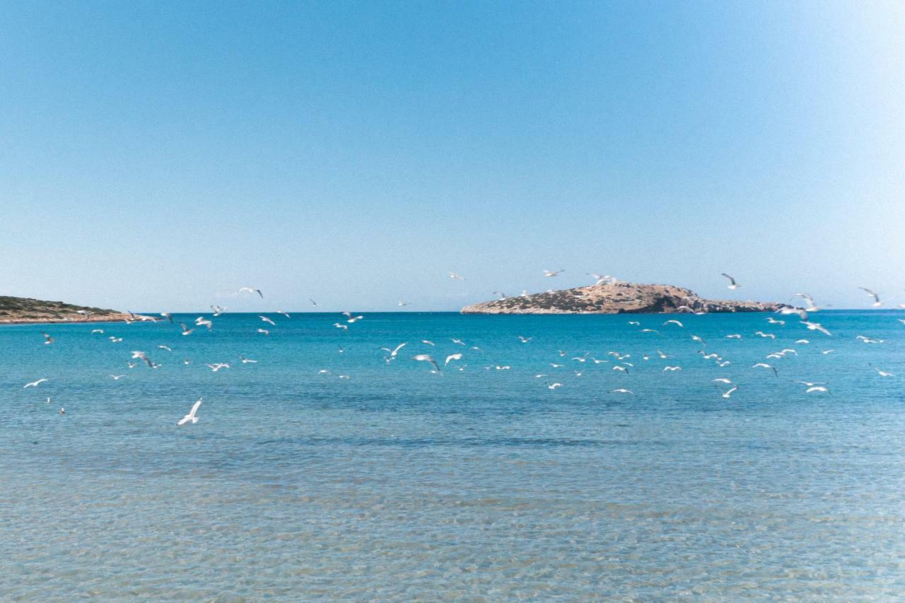 Bohemian Luxury Boutique Hotel, Adults Only Naoussa Esterno foto